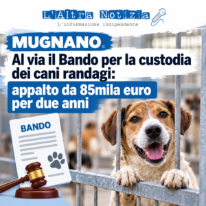 MUGNANO. Al via il Bando per la custodia dei cani randagi: appalto da 85mila euro per due anni