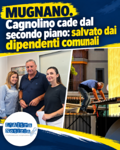 MUGNANO. Cagnolino cade dal secondo piano: salvato dai dipendenti comunali