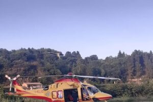 CRONACA. Sospetto morso di vipera, dal Salernitano 11enne in eliambulanza a Napoli
