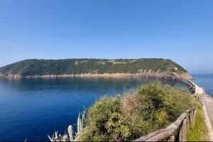 PROCIDA. Riserva di Vivara, nuova convenzione con il Ministero dell’Ambiente